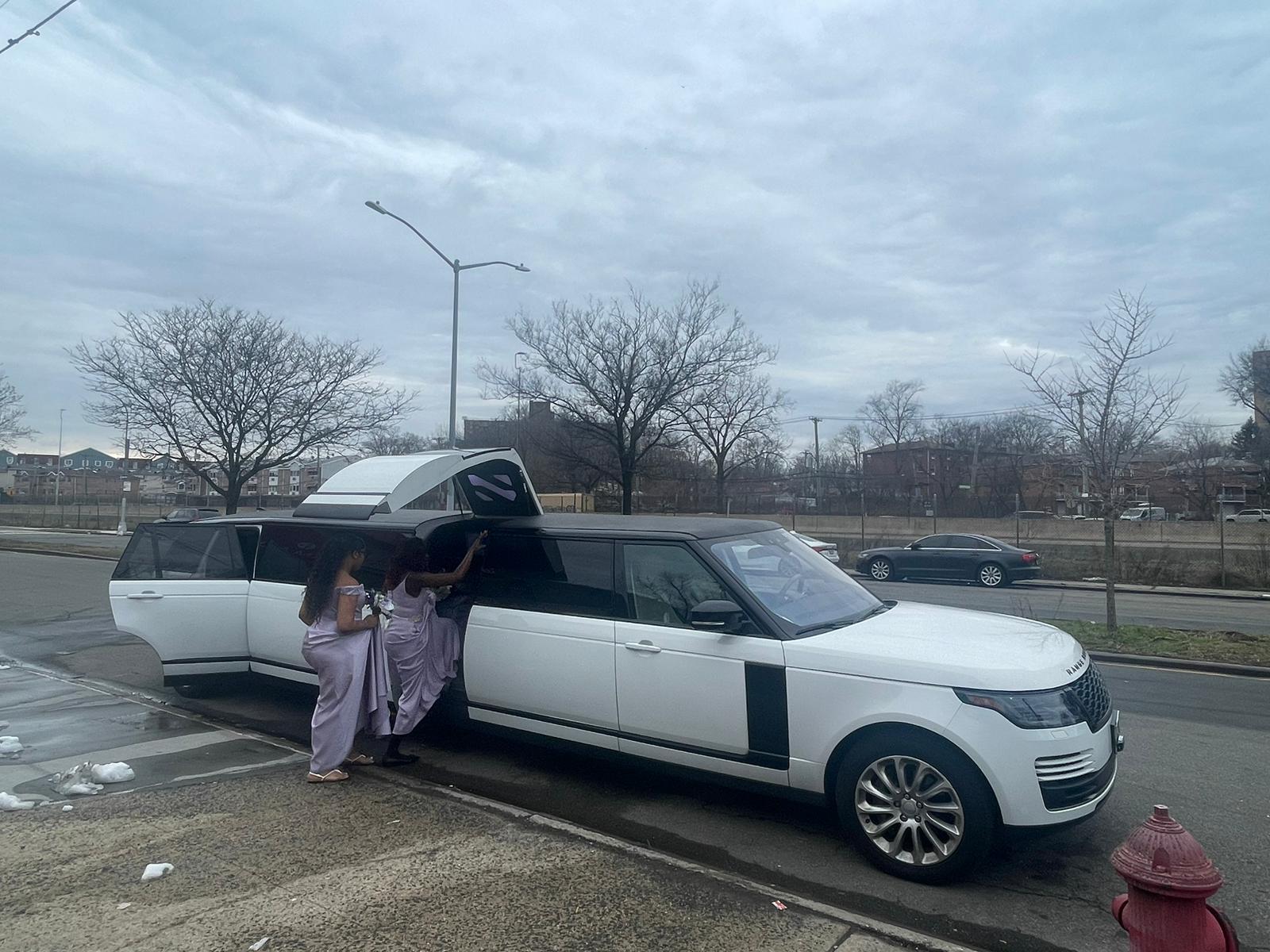 california's limousine fleet stretch limousine